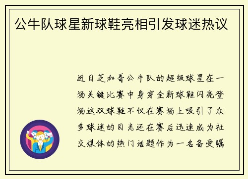 公牛队球星新球鞋亮相引发球迷热议