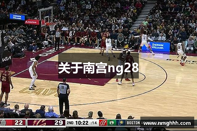 关于南宫ng28
